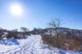 Snowy and ice winter landscape at the Amsterdamse Waterleidingduinen