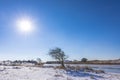 Snowy and ice winter landscape at the Amsterdamse Waterleidingduinen