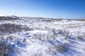 Snowy and ice winter landscape at the Amsterdamse Waterleidingduinen