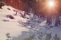 Snowy iced river creek in forest. Winter woods with snow at sunset or sunrise with warm light sun flare Royalty Free Stock Photo