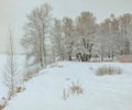 Snowy January morning in Nevsky forest Park. The Bank of the riv