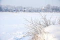 Snowy January morning in Nevsky forest Park.