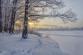 Snowy January morning in Nevsky forest Park.