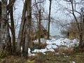 Snowy lake forest beach with fog