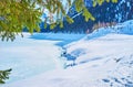 The snowy lake through the spruce branches, Gosau, Austria