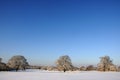 A Snowy Landscape