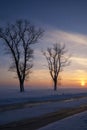 Snowy landscape in the Alblasserwaard Royalty Free Stock Photo