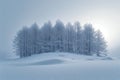 Snowy landscape Biei towns snow covered plain with minimal pine trees Royalty Free Stock Photo