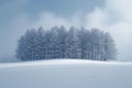 Snowy landscape Biei towns snow covered plain with minimal pine trees Royalty Free Stock Photo