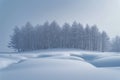 Snowy landscape Biei towns snow covered plain with minimal pine trees Royalty Free Stock Photo