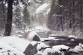 Snowy landscape with a creek and pine trees in Yosemite National Park