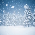 A snowy landscape featuring a dense forest of coniferous trees Royalty Free Stock Photo