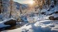 Winter Wonderland: White Hare by the Snowy River in a Forest at Sunrise Royalty Free Stock Photo