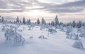 Snowy landscape with frozen trees in winter season, Saariselka, Lapland, Finland.