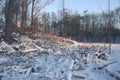 Snowy Landscape in Germany Royalty Free Stock Photo