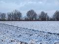 Snowy landscape in Germany in Grevenbroich with agriculture fields and a row of trees