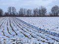 Snowy landscape in Germany in Grevenbroich with agriculture fields and a row of trees