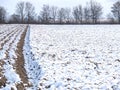 Snowy landscape in Germany in Grevenbroich with agriculture fields and a row of trees