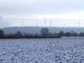 Snowy landscape in Germany in Grevenbroich with agriculture fields and a row of trees