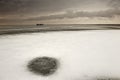 Snowy landscape in lake.