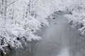 Snowy Landscape, Little Pigeon River Royalty Free Stock Photo