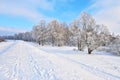 Snowy landscape by the Narew river valley.