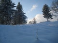 Snowy landscape