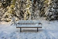 Snowy landscape. The park bench is covered with white thick snow. Royalty Free Stock Photo