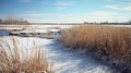 Snowy Landscape With Reeds And Lake: Coastal Scenery With Light And Shadow Contrasts Royalty Free Stock Photo