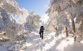 Snowy landscape of the Sierra de Guadarrama