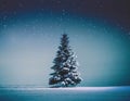 Snowy landscape with single fir tree Royalty Free Stock Photo