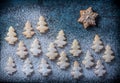 Snowy landscape with small Christmas trees and gingerbread star in sky Royalty Free Stock Photo
