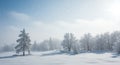 Snowy Landscape with Snow Covered Trees Under a Bright Winter Sky Royalty Free Stock Photo