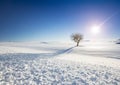 Snowy Landscape with Sun