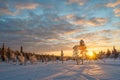 Snowy landscape at sunset, frozen trees in winter in Saariselka, Lapland Finland Royalty Free Stock Photo