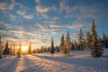 Snowy landscape at sunset, frozen trees in winter in Saariselka, Lapland Finland Royalty Free Stock Photo