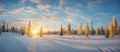 Snowy landscape at sunset, frozen trees in winter in Saariselka, Lapland Finland Royalty Free Stock Photo