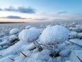 Snowy landscape at sunset Royalty Free Stock Photo