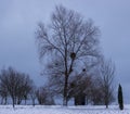 Snowy landscape tree mistletoe retro windmill