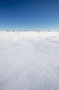 Snowy Landscape with trees on the Horizon