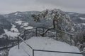 Snowy landscape with trees near Mala Skala village in Jizera river valley Royalty Free Stock Photo