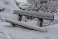 Snowy landscape with trees near Mala Skala village in Jizera river valley Royalty Free Stock Photo