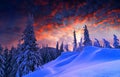 Snowy landscape