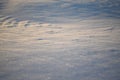 Snowy landscapes and snow close-up in sunbeams. Grass and objects in the snow