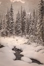 Snowy late afternoon winter scene along Frying Pan River Colorado Royalty Free Stock Photo