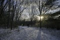 Leafless parkland trail in late Fall