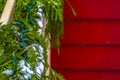 Snowy leafy garland with lights on the handrail