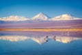 Zasnežený sopka v andy reflexné v voda z andský plameniaky čile 