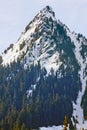 Snowy McClellan Butte Snoqualme Pass Washingto Royalty Free Stock Photo