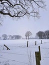 Snowy meadows and fields, winter wonderland